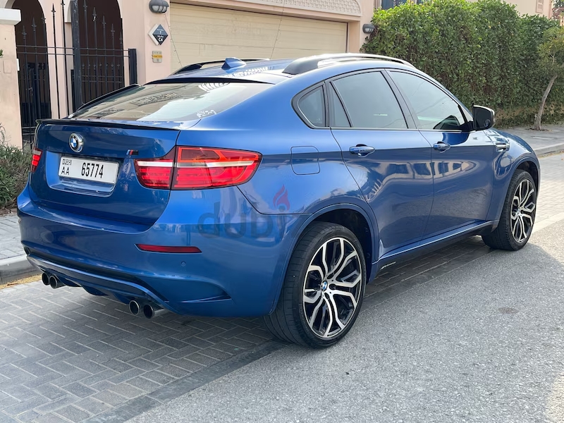 2011 BMW X6M