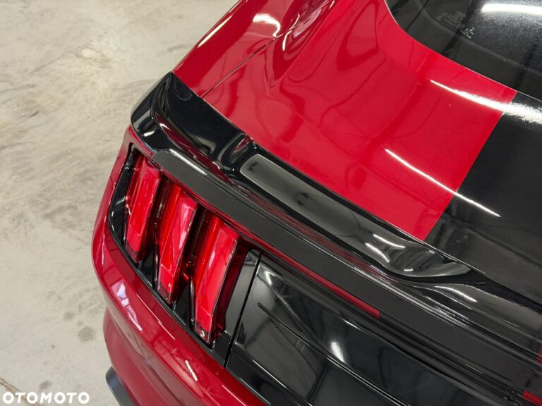 Ford Mustang — zdjęcie 22